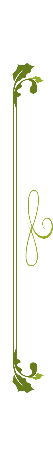 event decoration services
