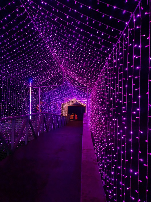 lighting event decor
